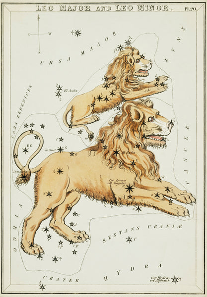 Astronomical chart illustration of the Leo Major and the Leo Minor Zodiac (1831) by Sidney Hall