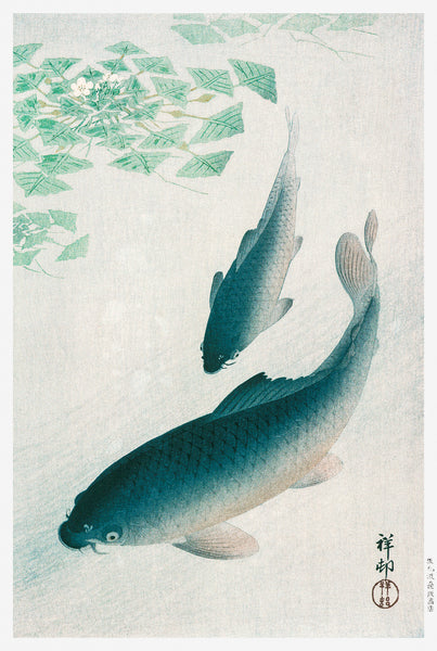 Carp or Koi (1926) by Ohara Koson