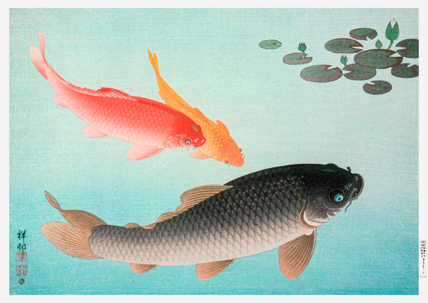 Common and Golden Carp (1935) by Ohara Koson