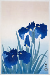 Iris flowers (1925 - 1936) by Ohara Koson