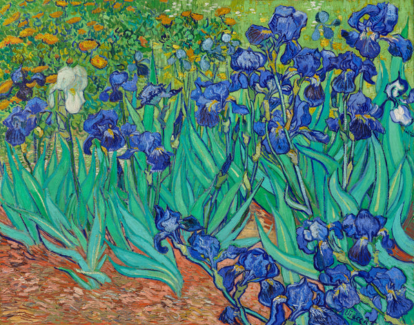 Irises (1889) by Vincent Van Gogh