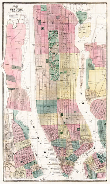 Map of New York and Vicinity (1869) by Matthew Dripps