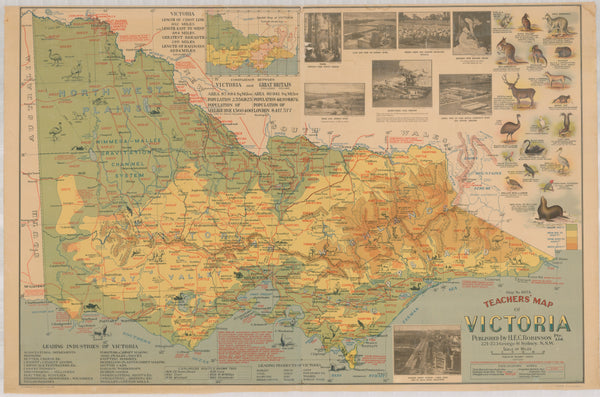 Teachers Map of Victoria Wall Map 1953