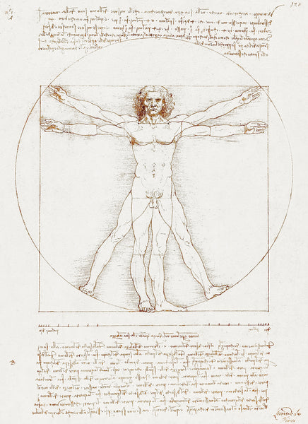 Vitruvian Man (circa 1492) by Leonardo da Vinci