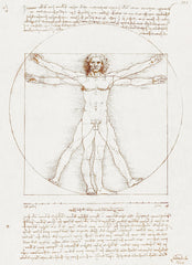 Vitruvian Man (circa 1492) by Leonardo da Vinci